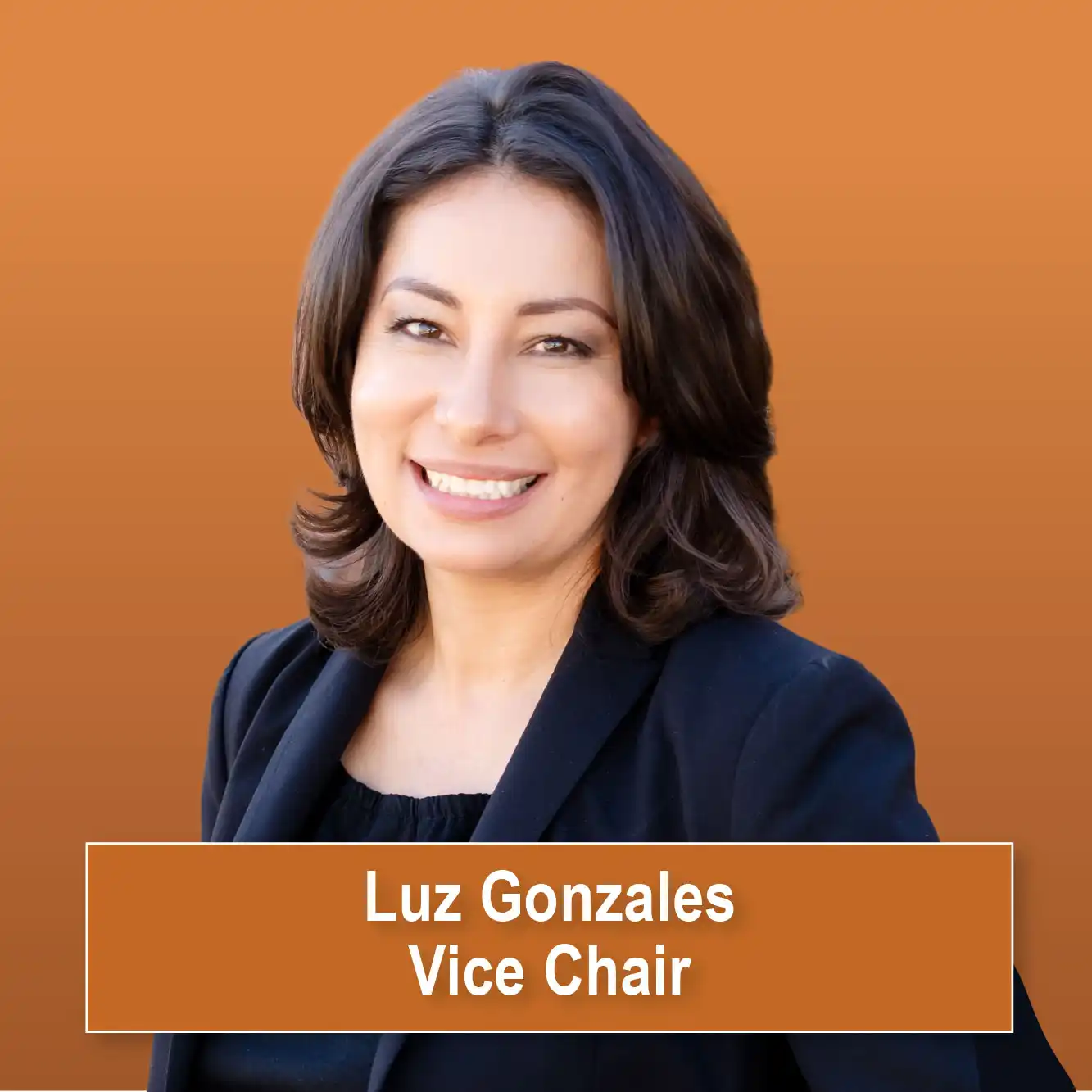 Luz Gonzales, Vice Chair